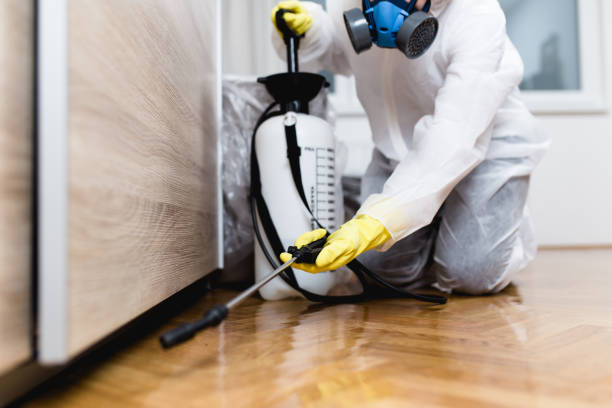 Best Wildlife Control Services  in Morongo Valley, CA