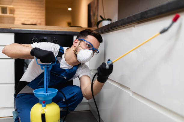 Best Best Pest Control Companies  in Morongo Valley, CA