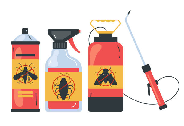 Best Ant Control Services  in Morongo Valley, CA