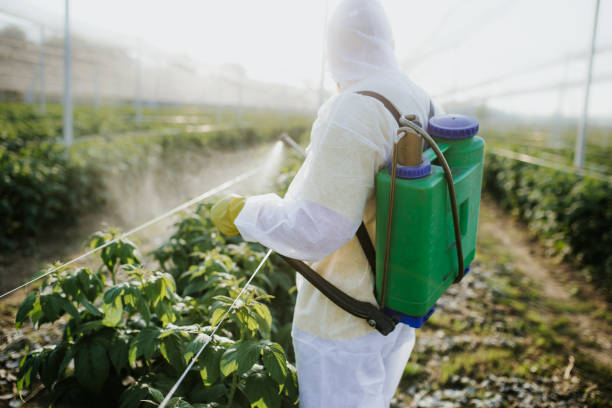 Best Pest Control Near Me  in Morongo Valley, CA